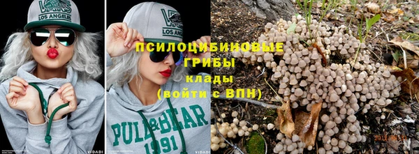 гашик Кинешма