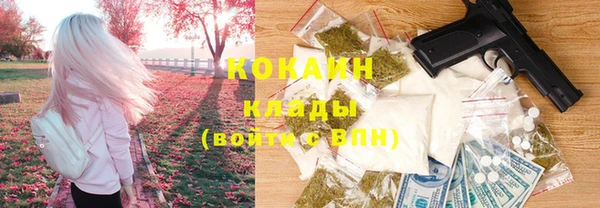 крисы Киренск