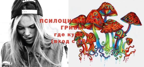 гашик Кинешма