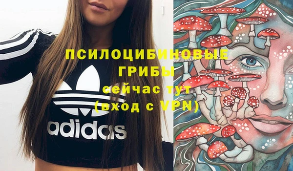 крисы Киренск